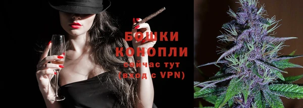 гидра Липки