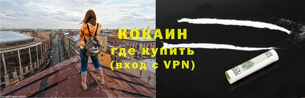 гидра Липки