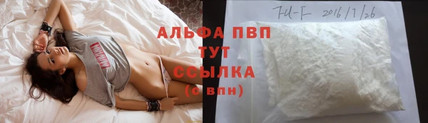 гидра Липки