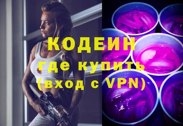индика Осинники