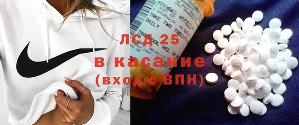 гидра Липки