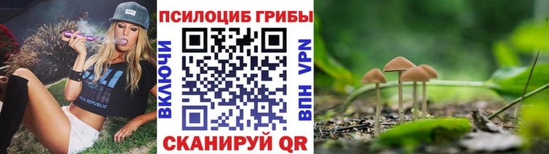 Галлюциногенные грибы MAGIC MUSHROOMS Хадыженск